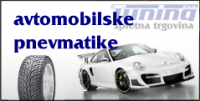 Avtomobilske pnevmatike